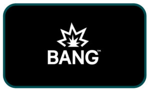 bang-kunde-logo